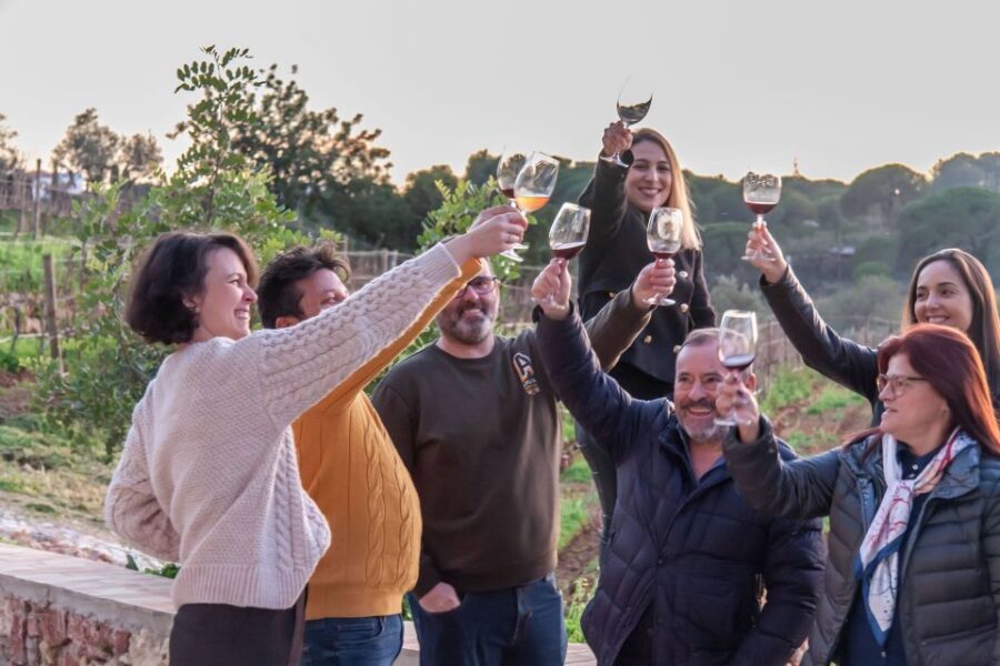 Porches: Algarve Vineyard Tour and Wine Tasting Experience - Price and value: is $91 per person fair for what you get?