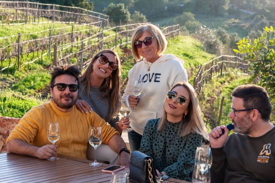 Porches: Algarve Vineyard Tour and Wine Tasting Experience - Practical tips: how to show up ready