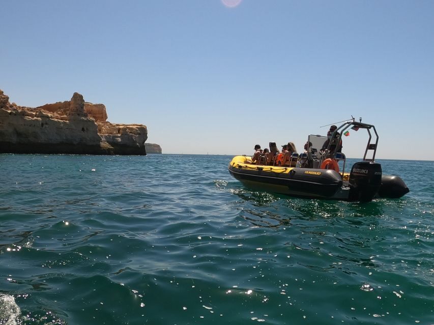 Portimão: 2-Hour Dolphin Watching Boat Tour - Speed-Boat Start in Portimão: where to meet and how it flows