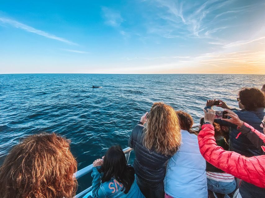 Portimão: Benagil Caves & Dolphins Watching with Biologist - Boat comfort, safety kit, and what to pack (so the day stays fun)