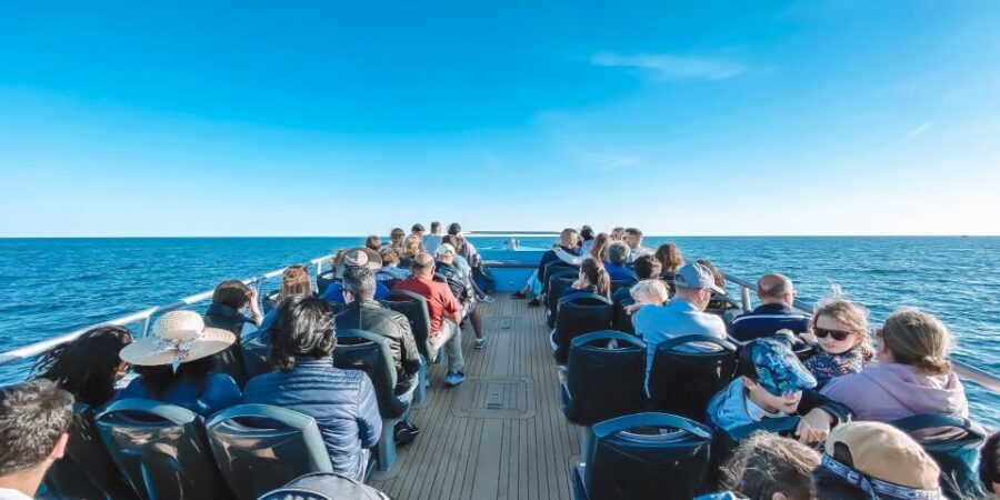 Portimão: Benagil Caves & Dolphins Watching with Biologist - From Portimão Marina to Marinha Beach: the start that sets the tone