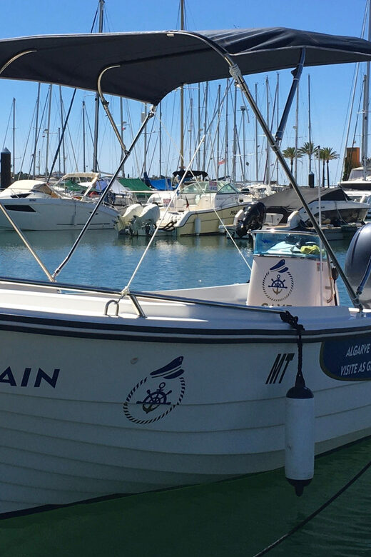 Portimão: Caves, Benagil and Algarve Coastline Boat Tour - Who should book this Portimão caves and Benagil tour