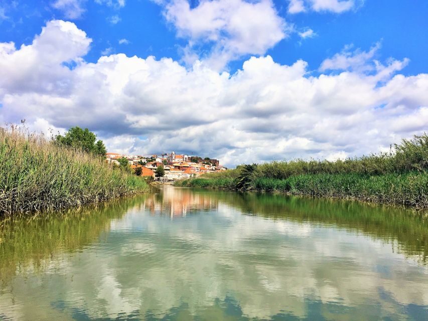 Portimão: Silves & Arade River History Tour on a Solar Boat - Price and value: is $49 a fair deal?