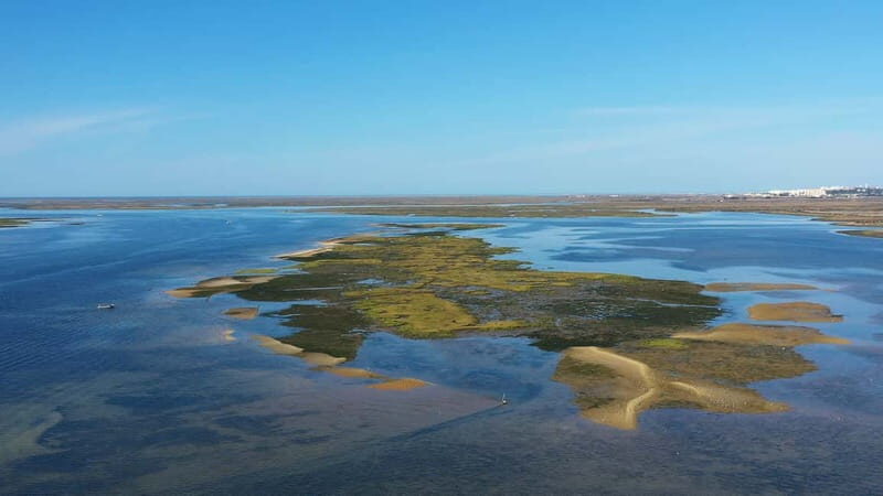 Ria Formosa: Armona and Culatra Islands 3-Hour Boat Tour - Key things that make this tour worth your time