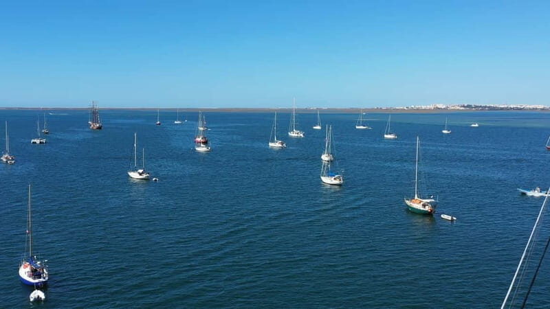 Ria Formosa: Armona and Culatra Islands 3-Hour Boat Tour - Culatra Island: car-free village life and the sustainability story