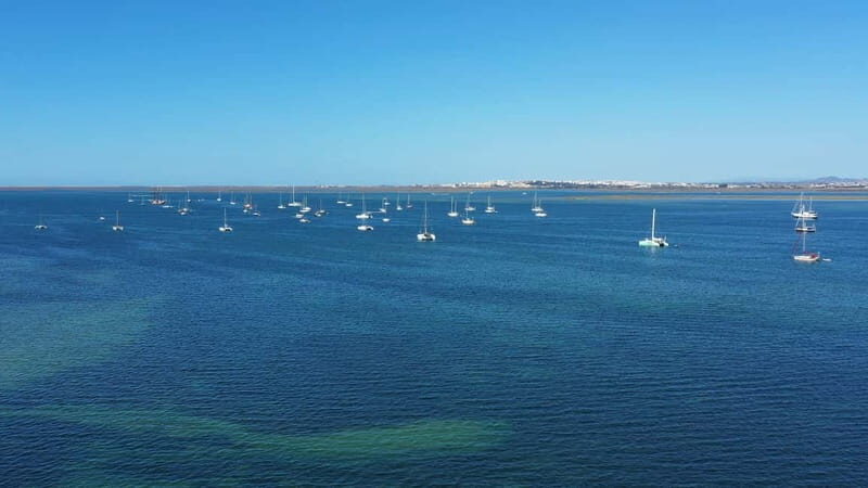 Ria Formosa: Armona and Culatra Islands 3-Hour Boat Tour - Group size and boat comfort: small is a feature here