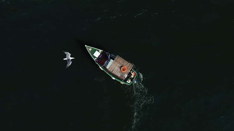 Ria Formosa: Armona and Culatra Islands 3-Hour Boat Tour - Price and value: is $34 a fair deal for two islands?
