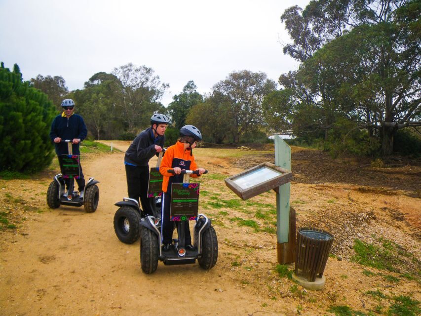 Ria Formosa National Park Segway Tour & Seafood Lunch - Wax RestoBar Seafood Lunch: Ocean Views and a Real Feeding Break