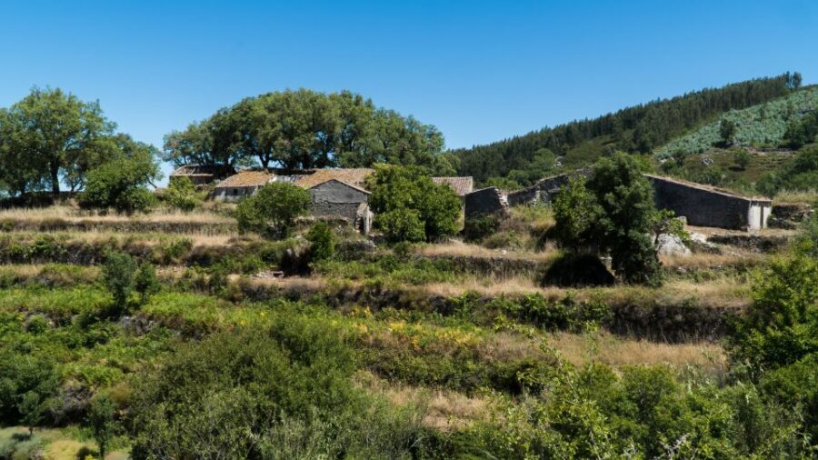 Serra de Monchique & Bravura Half Day Off-Road Day Trip - Off-road driving: what to expect on the trails