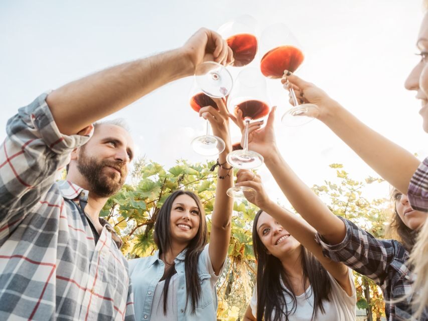 Silves: Algarvian Winery Tour and Tasting Experience - From vineyards to tasting table: your 1.5-hour flow