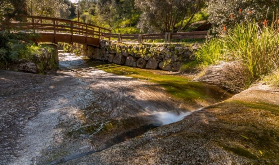 Silves, Caldas and Monchique Wine Tasting: Full Day Tour - Key things that make this tour worth your time