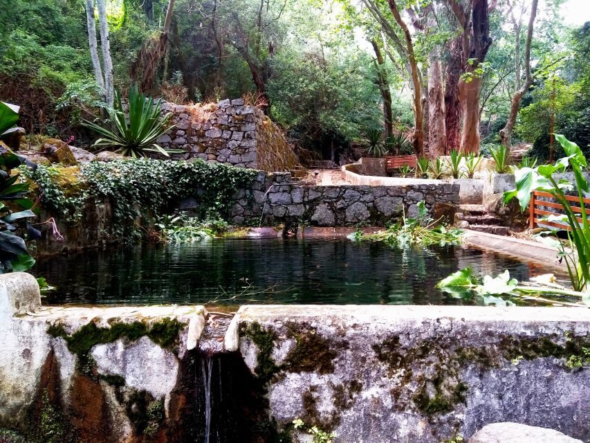 Silves, Caldas and Monchique Wine Tasting: Full Day Tour - Who should book this tour (and who might want a different style)