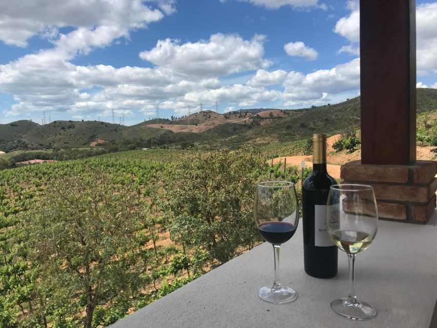 The Real Algarve: 2 Boutique Wineries & Silves Tour - Who Should Book This Tour (and Who Might Not Love It)