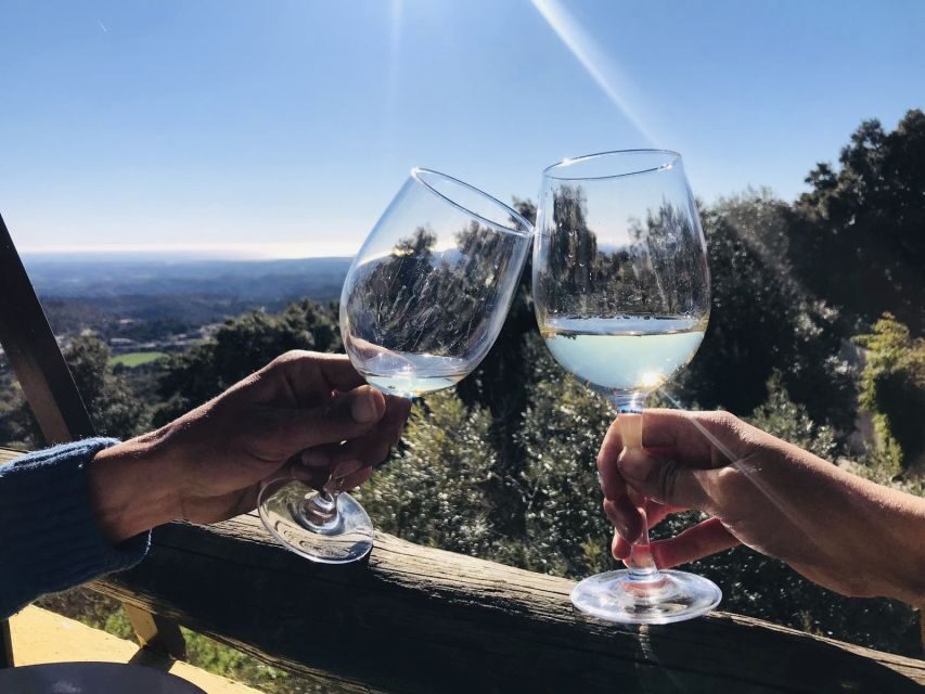 The Real Algarve: 2 Boutique Wineries & Silves Tour - Should You Book The Real Algarve: 2 Boutique Wineries & Silves Tour?
