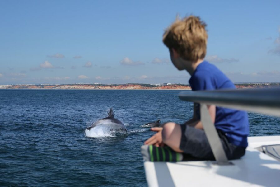 Vilamoura: Boat Tour Dolphin Quest & Marine Life Search - Dolphin Quest in Vilamoura: What You’re Really Paying For