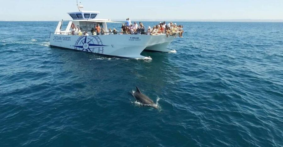 Vilamoura: Boat Tour Dolphin Quest & Marine Life Search - Your 2 Hours on the Water: How the Dolphin Search Usually Plays Out