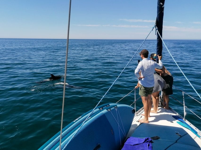 Vilamoura: Coastal Cruise on a Luxury Sailing Yacht - Falésia’s clay formations: the best reason to look up