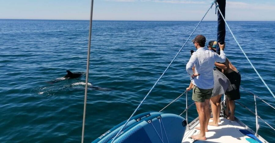 Vilamoura: Coastal Cruise on a Luxury Sailing Yacht - Meeting up at Pontoon Q: how to find it without stress