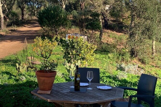 Walk in the Hills with Goat Herder-Local Honey, Wine and Cheese Tasting - Meeting at Quinta Rosa de Victoria and Pulo do Cão: Start Easy